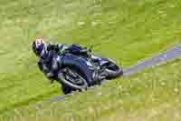 Middle Group Black Bikes